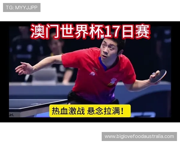 2026年乒乓球世界杯举办国揭晓 引领全球乒乓盛宴进入全新纪元 2026年乒乓球世界杯举办国揭晓 引领全球乒乓盛宴进入全新纪元