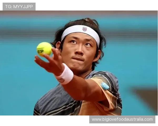 张之臻逆转夺冠中国网球男单迎来历史性突破 张之臻逆转夺冠中国网球男单迎来历史性突破