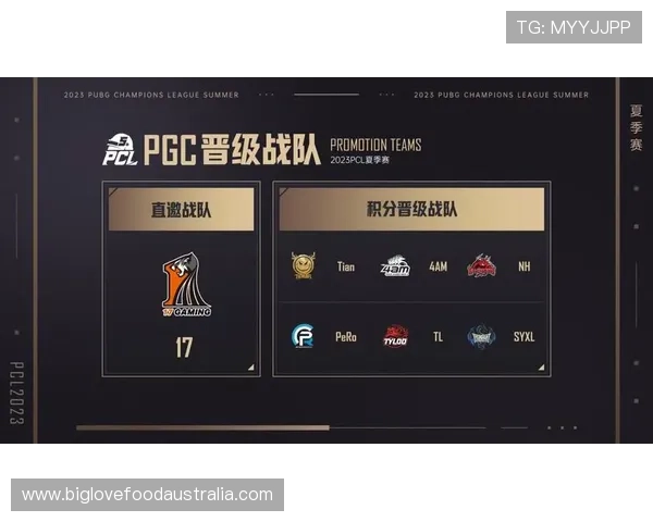 全球电竞格局迎新变革各大战队重组引发竞技赛场激烈震荡 全球电竞格局迎新变革各大战队重组引发竞技赛场激烈震荡