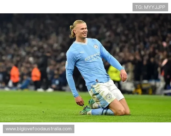 曼城新星哈兰德闪耀舞台,引领足球未来 曼城新星哈兰德闪耀舞台,引领足球未来