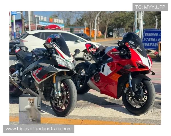 杜卡迪称霸赛季末战 马丁与巴尼亚亚冠军之争再掀激情风暴 杜卡迪称霸赛季末战 马丁与巴尼亚亚冠军之争再掀激情风暴