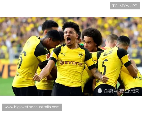 温布尔登俱乐部发布最新新闻：全新赛季展望与未来发展战略解析