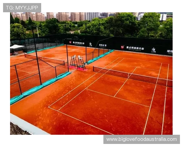 网球赛场新趋势 蓝土与红土对比分析及未来发展前景探讨