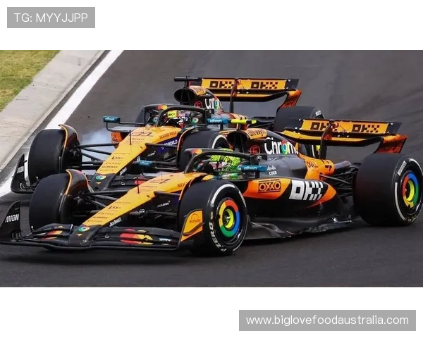 F1赛季最新动态:各车队表现分析与未来赛事展望 F1赛季最新动态:各车队表现分析与未来赛事展望