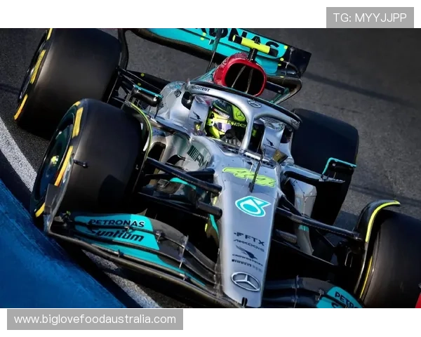 F1赛事最新动态：梅赛德斯车队迎来技术革新 车手状态持续提升