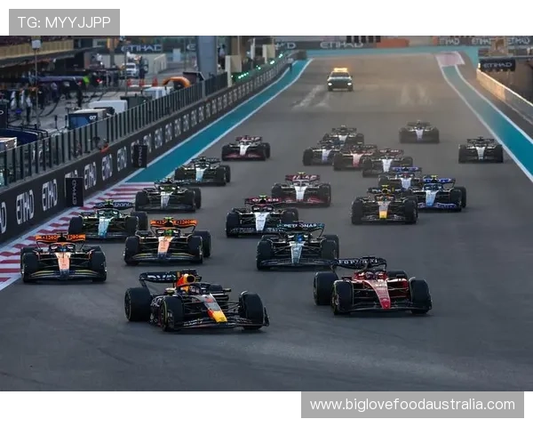 F1赛季最新动态：各大车队表现解析与未来赛事前景展望