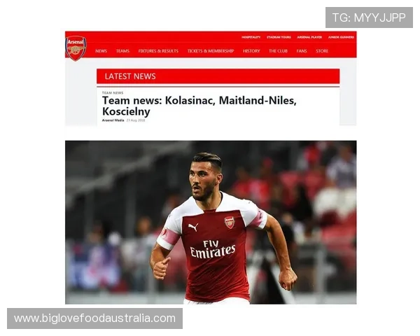 沃尔夫斯堡队长萨尔戈尔因伤缺席本赛季余下比赛俱乐部发布官方声明